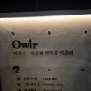 아우르 이미지