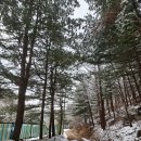 원주굽이길 원11코스 다둔인벌길 이미지