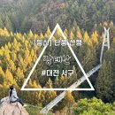 태평농장 | [여행, 등산]가을산행 장태산 메타세콰이어 길 장태산 자연휴양림 실시간(11월05일기준) 단풍명소