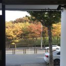 카페이프 - 전주시 덕진구 기지로 91 | 카페이프