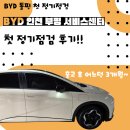 두카티인천서비스센터 | byd 인천 부평서비스센터 돌핀 첫 초기 점검 후기! (+ byd 정기점검 시기)
