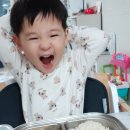 조은아이반찬 네이버블로그