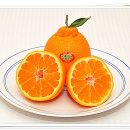 모모농장 이미지