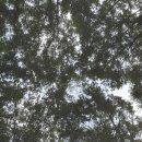 중랑가족캠핑장 이미지