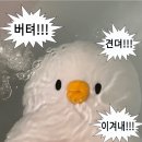 24.10.21~27 롱디 부부같았던 한 주 일상