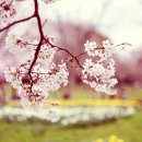 윤영수