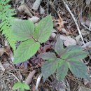 귀중농장 이미지