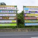 금산 현수막 이미지