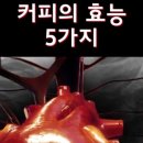 하버드 연구팀의 커피 효능 5가지 이미지