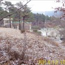 장동초교 이미지