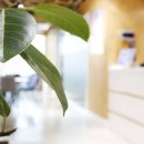 자연치과기공소 이미지