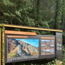 조종천 | 운악산 출렁다리 | 가평 가볼만한곳 추천! 주차, 입장료, 화장실, 물놀이 정보 공유