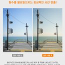 정진햇빛발전주식회사 | Kenko NOSTALTONE ORANGE 필터로 느껴본 서촌 가을