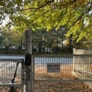 벽산프라자 빌딩 옆 이미지