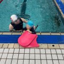 대한스포렉스 | 강남 실내수영장 유아체육 어린이수영 강습 코오롱스포렉스 서초점