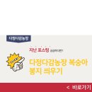 피자마루충북 이미지