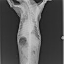 장암종합동물병원 이미지