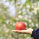 성문농장 이미지