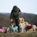 개똥이네캠핑장 이미지