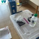 모리동물병원 | “세 번의 응급 후… 결국 집에서 길을 찾다” — 대전 반려견 ‘모리’의 산소방 회복기