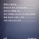 【나는 잘 지내고 있습니다】 석파정 서울미술관 관람 후기