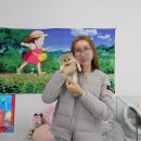 멍냥멍냥 미용실 | 의정부고양이분양 멍냥스타 방문 후기 (1920)