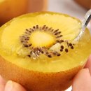 보성우체국 이미지