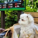 대갈놀이공원 이미지