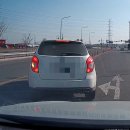 삼콩댕댕이발소 | 2026.01(下) | 인생을 너무 심각하게 받아들이지 마셔요