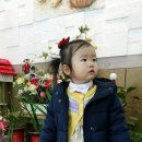 지니메드 이미지