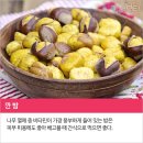 베스트푸드 이미지
