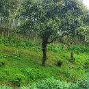 남성리 문화의집 이미지