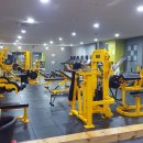 크로스핏미르GYM 이미지