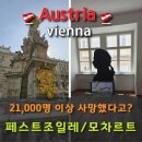 비엔나악기 - 은평구 진관2로 29-21 | [비엔나 페스트조일레 / 모차르트 박물관] 오스트리아 비엔나여행