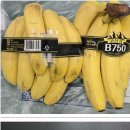 롯데쇼핑(주) 롯데마트사업본부 이미지