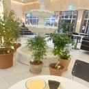 루트커피 이미지