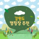 강원도 단풍캠핑장 추천 LIST (스칼라캠프,캠핑느루,산너미목장,오색장군바위,더캠핑타운마이밸리)