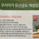 지디에프바이오