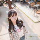 고양이정원 이미지