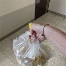 내돈내산 새*** 입주청소 솔직 후기｜견적은 저렴했고 결과는 아쉬웠다.