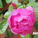 태백시청 이미지