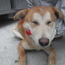 번영로길 이미지