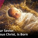 A Savior, Jesus Christ, Is Born | Light the World 이미지