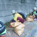 서홍동 주민센터 이미지