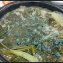 두꺼비가든 이미지