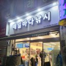 [인천배낚시] 인천제일바다낚시 (하하호호선) 종일 쭈꾸미, 갑오징어 낚시 후기