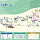 송정자연휴양림 이미지