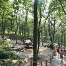 바라산자연휴양림 이미지