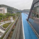 동해선거제해맞이역 네이버블로그