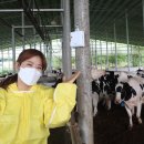 유라이크 이미지